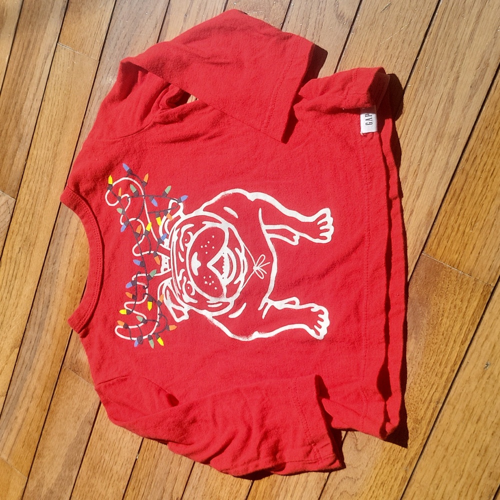 GAP LS graphic T